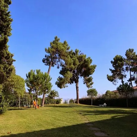 A Suara Di Mare